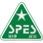 Emblema Junior Jesina