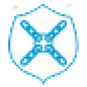 Emblema Croce di Casale